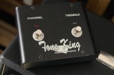 Tone King Imperial II-5.jpg